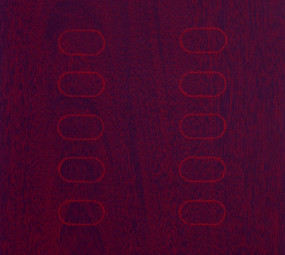 Hardwoods 2_Ann Conner