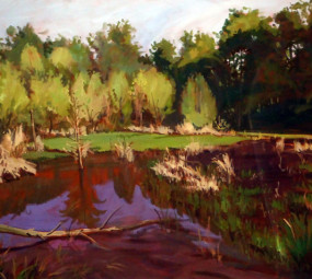 Salem Lake BackWater_Jeremiah Miller