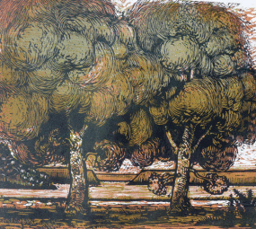 Two Trees_Robert Patierno