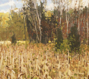 Corn field_Michael Brown