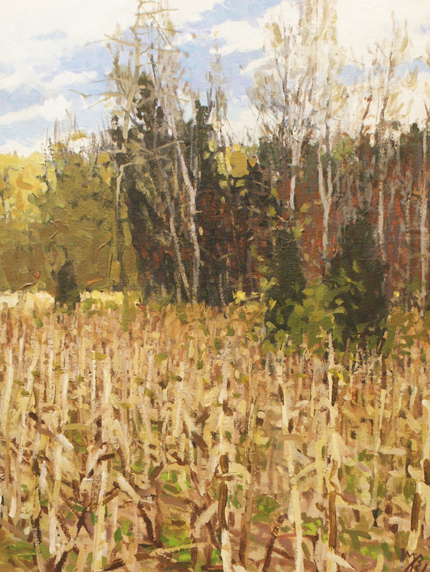 Corn field_Michael Brown