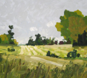 Field_Michael Brown