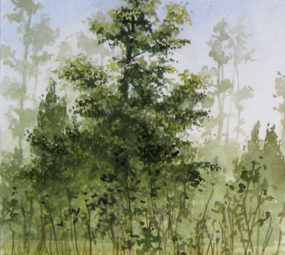 Lone Big tree_Michael Brown