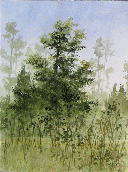 Lone Big tree_Michael Brown
