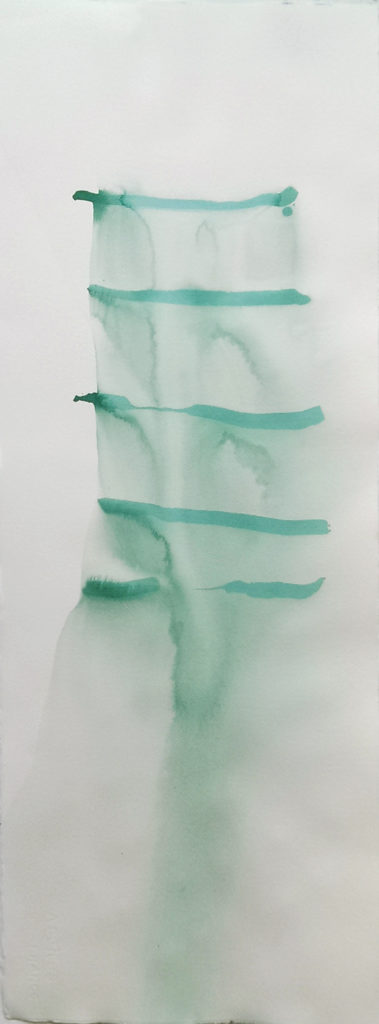 fish ladder (turquoise)_marty baird